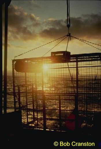 bob cranston 6 A crane is lifting a cage in the middle of an ocean.