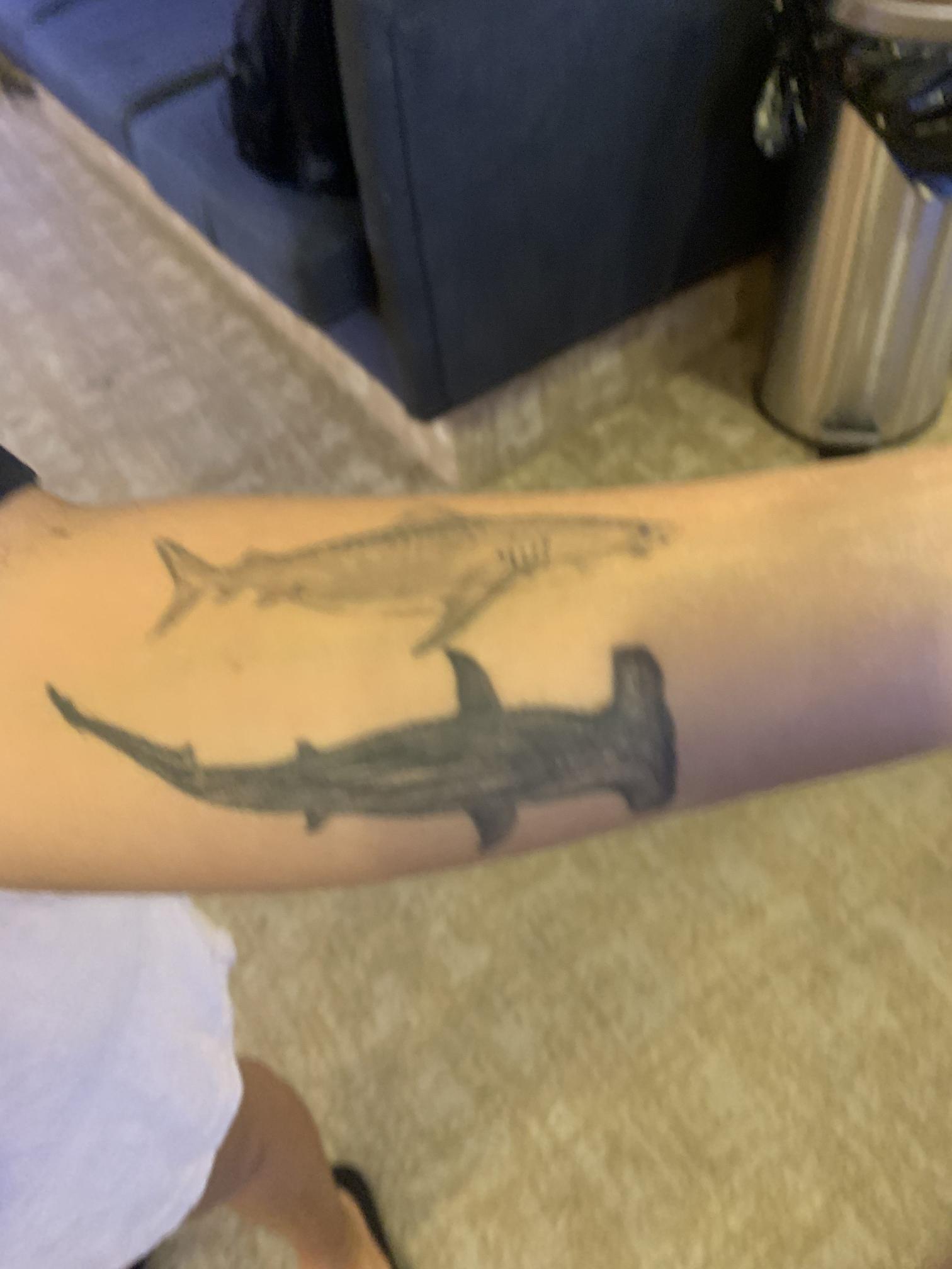 Hammerhead Shark Temporary Tattoo Sticker - OhMyTat